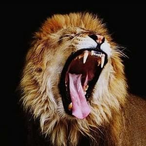 Meet your Posher, Lillian charles